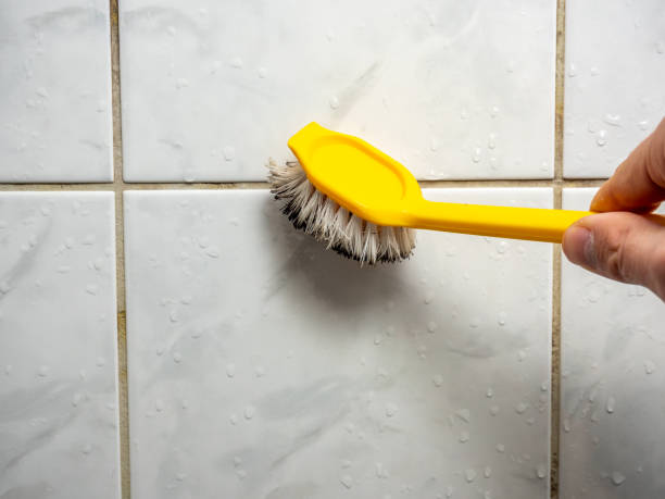 Best Mold Testing  in West Park, FL
