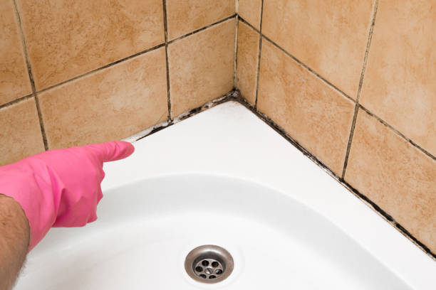 Best Crawl Space Mold Removal  in West Park, FL